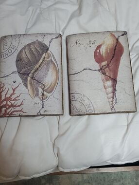 Set of Two Coastal Shell Wall Art Prints - Beige and Brown